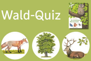 Wald-Quiz